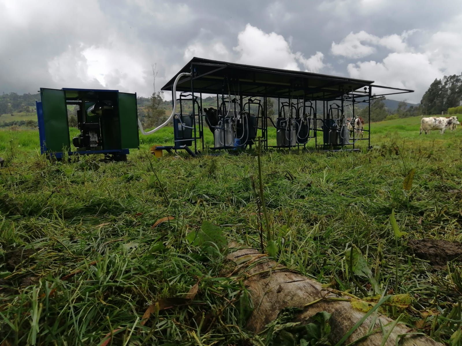 Sistema de ordeño móvil instalado en finca de la Sabana de Bogotá con vacas al fondo